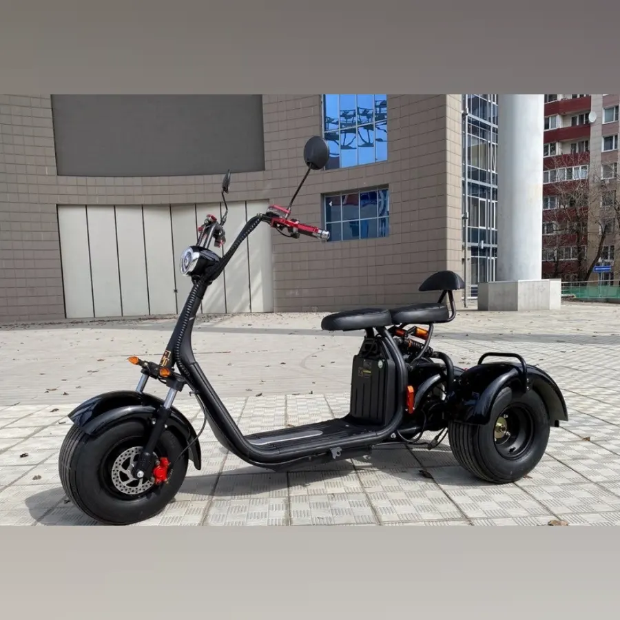 Трехколесный электроскутер Citycoco GT